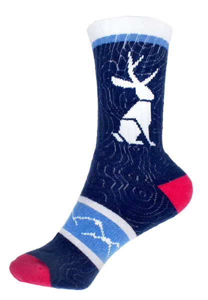 Legend of Jack Socks